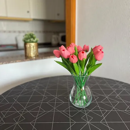 Sea Viev La Mata Torrevieja